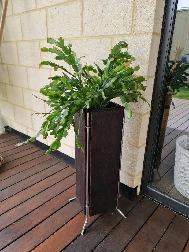 outdoor planter on a deck with a plant inside
